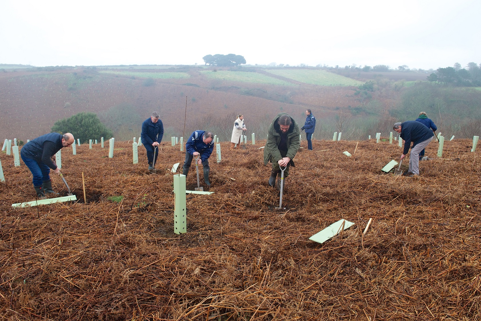 Team planting trees at Mourier Valley