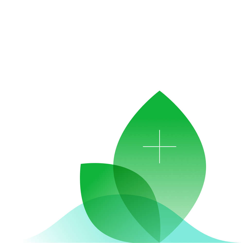 An illustration of a leaf and the sea with a plus icon laid over the top.