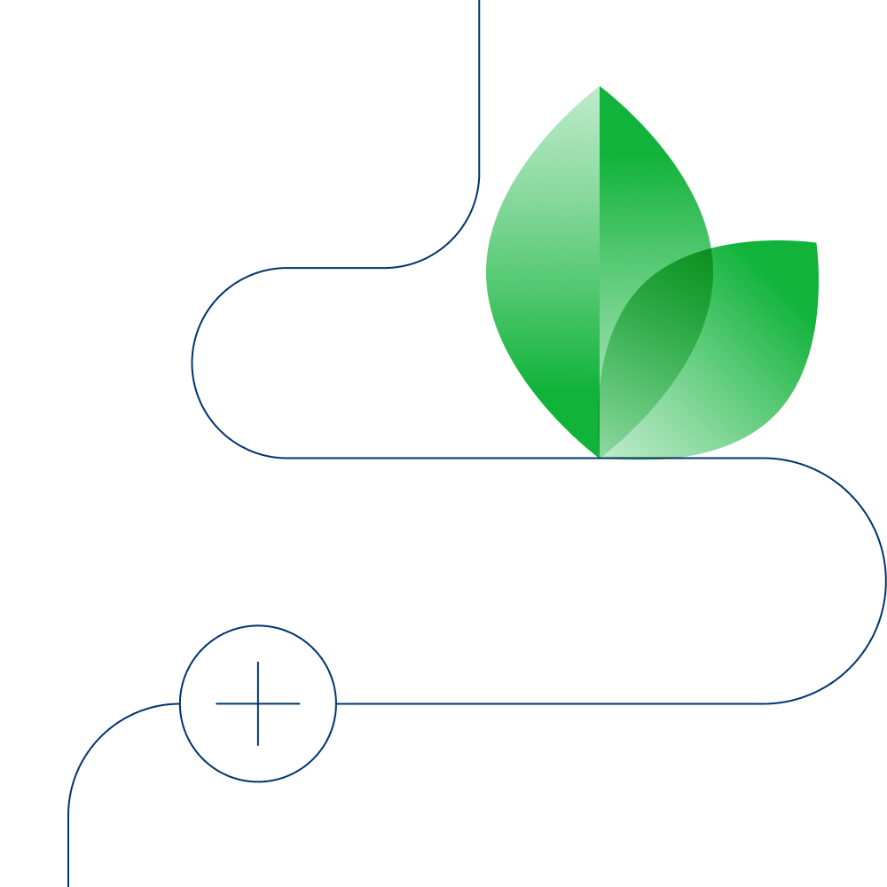 An illustration of a leaf that follows a thin blue pin line.