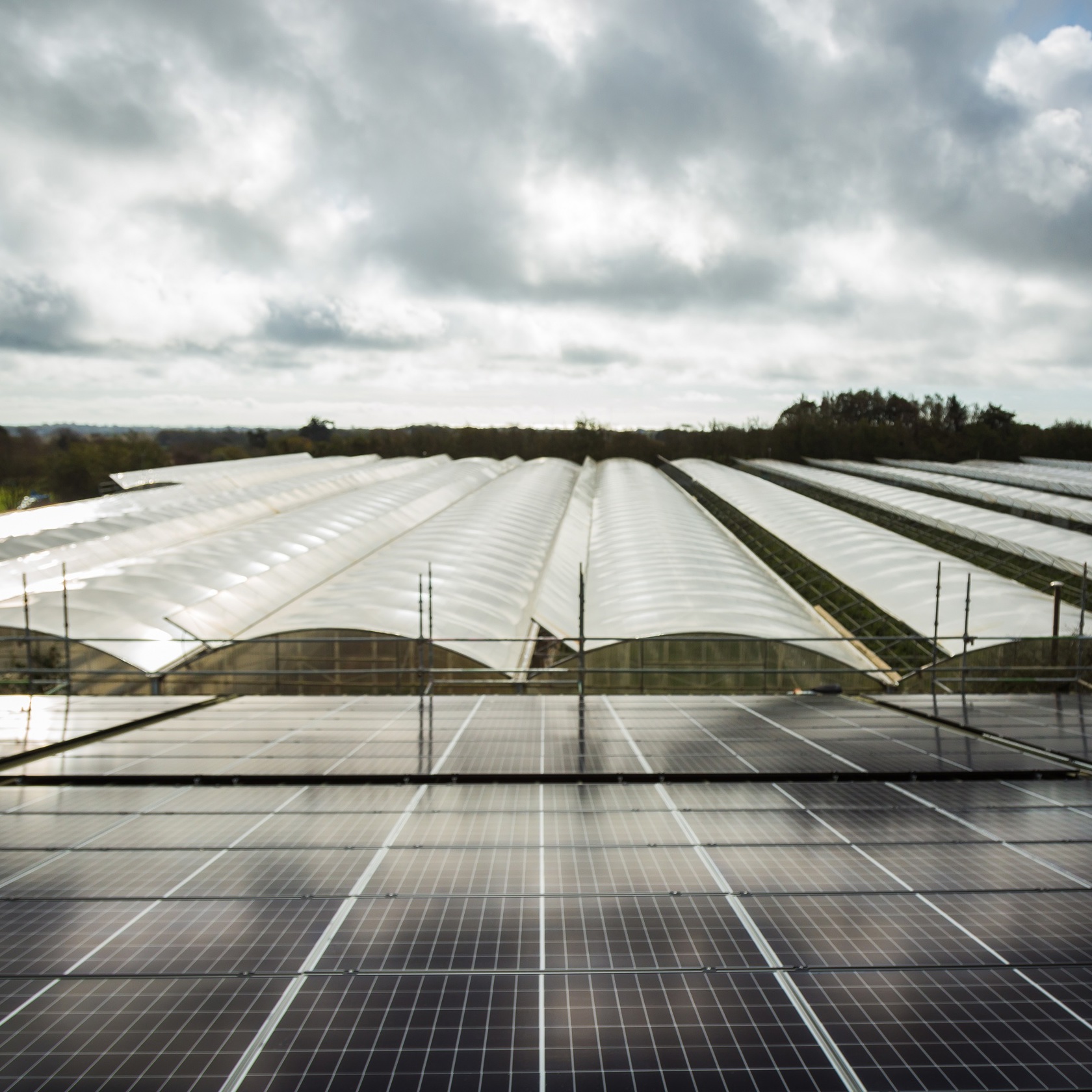 Woodside farm solar array