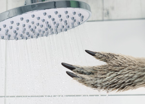 Save Energy Shower Moe