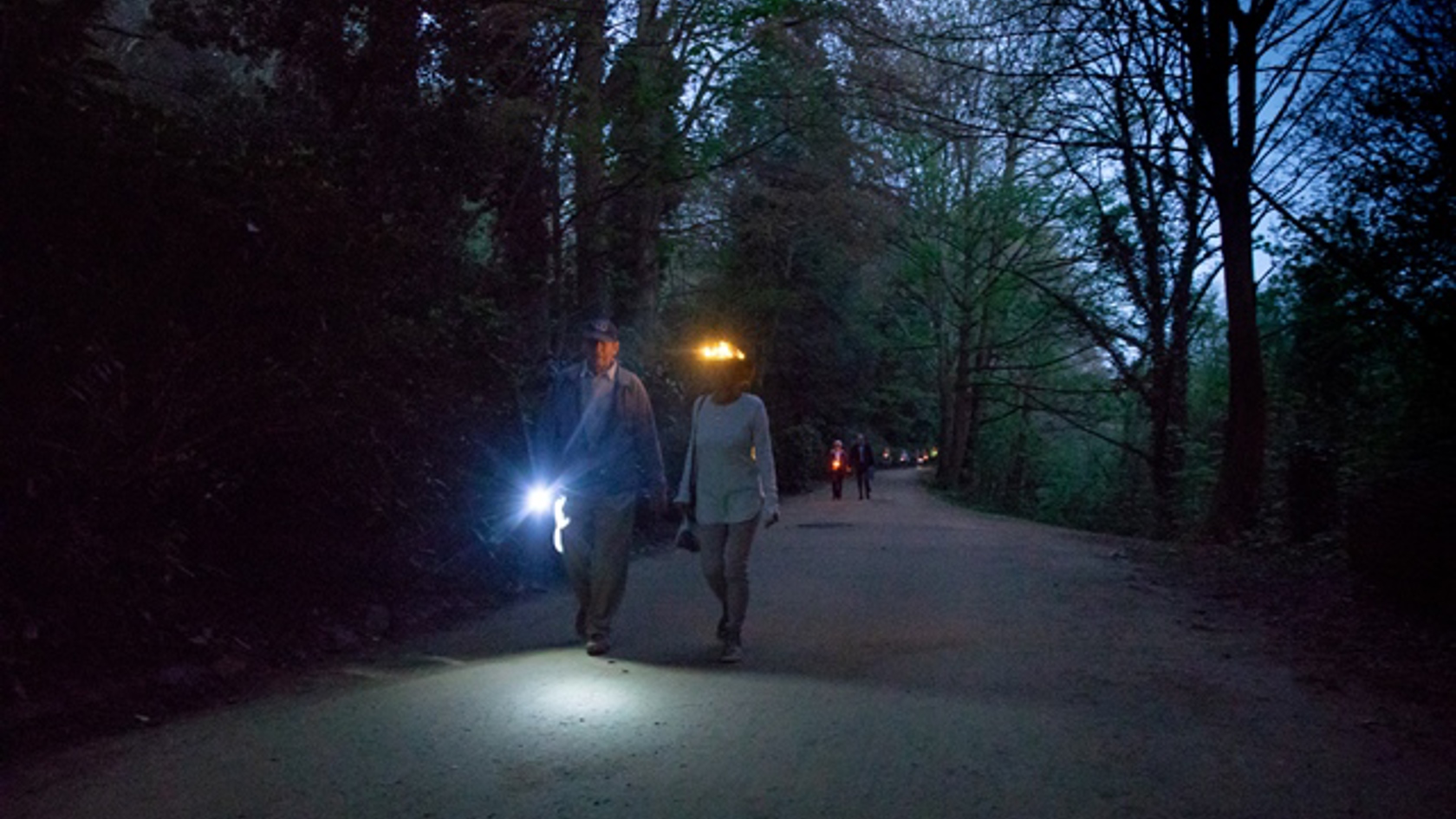 light-2.jpg