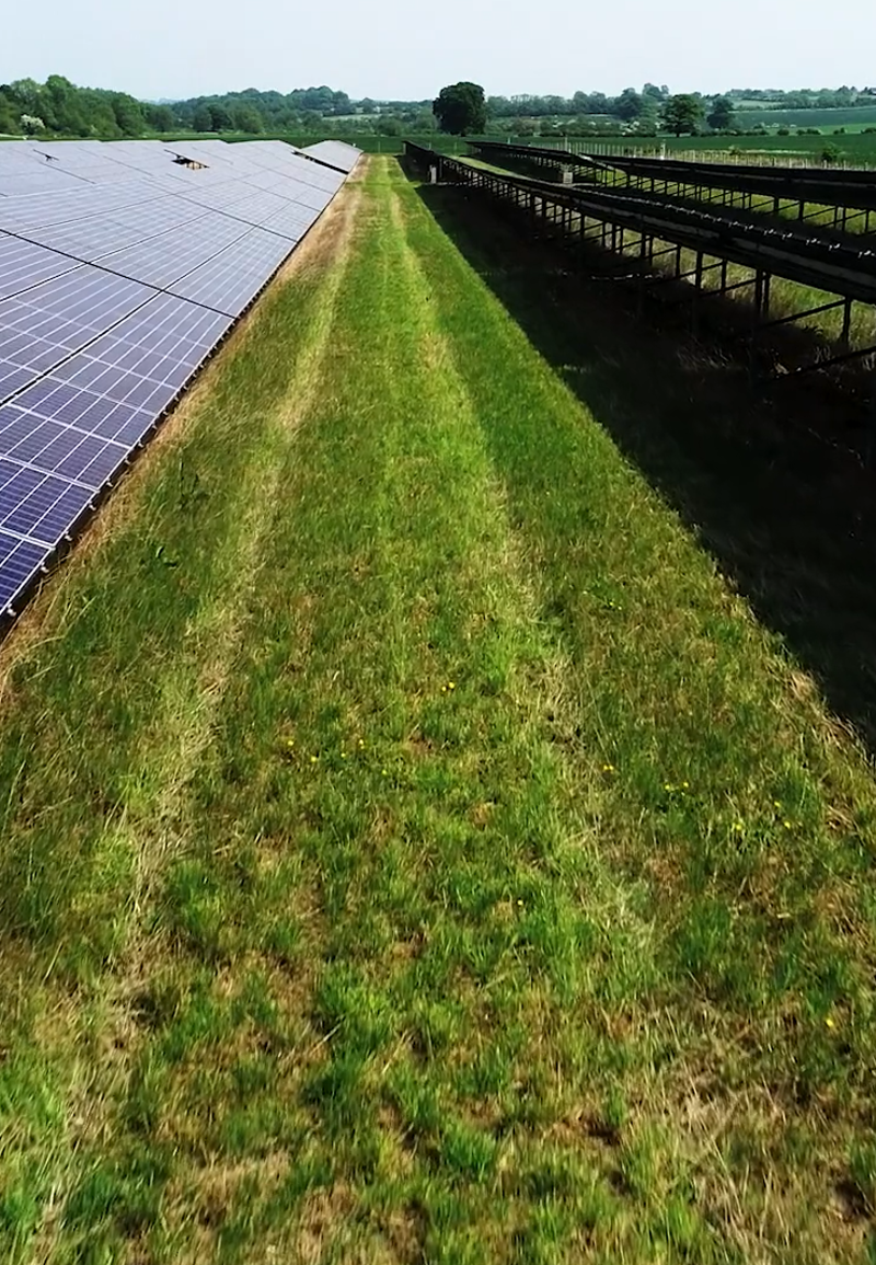 Ground mounted solar array