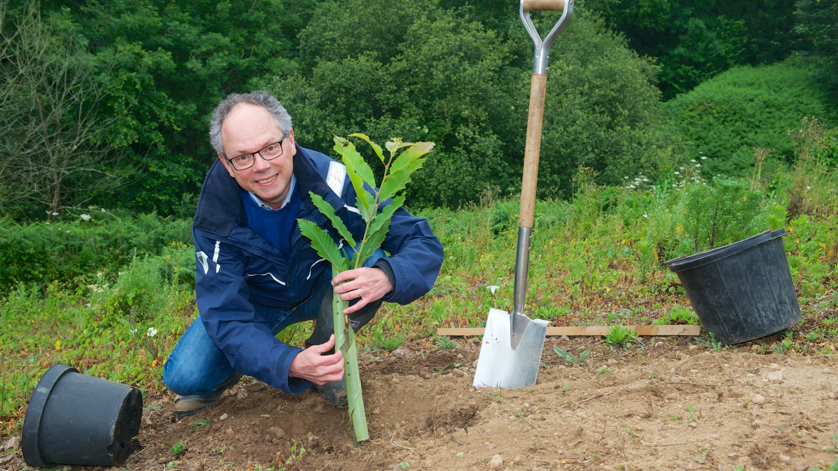 Chris Ambler, CEO of Jersey Electricity kneeling down to plant a tree