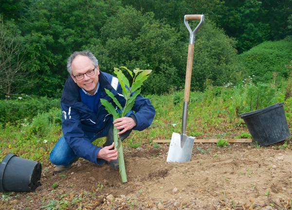 Chris Ambler, CEO of Jersey Electricity kneeling down to plant a tree