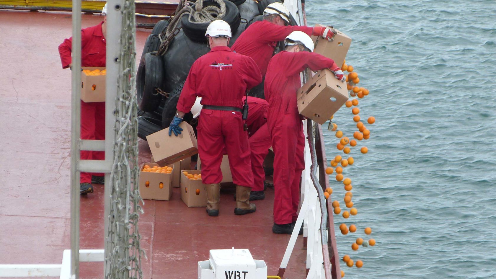 Engineers chuck oranges off a boat into the sea