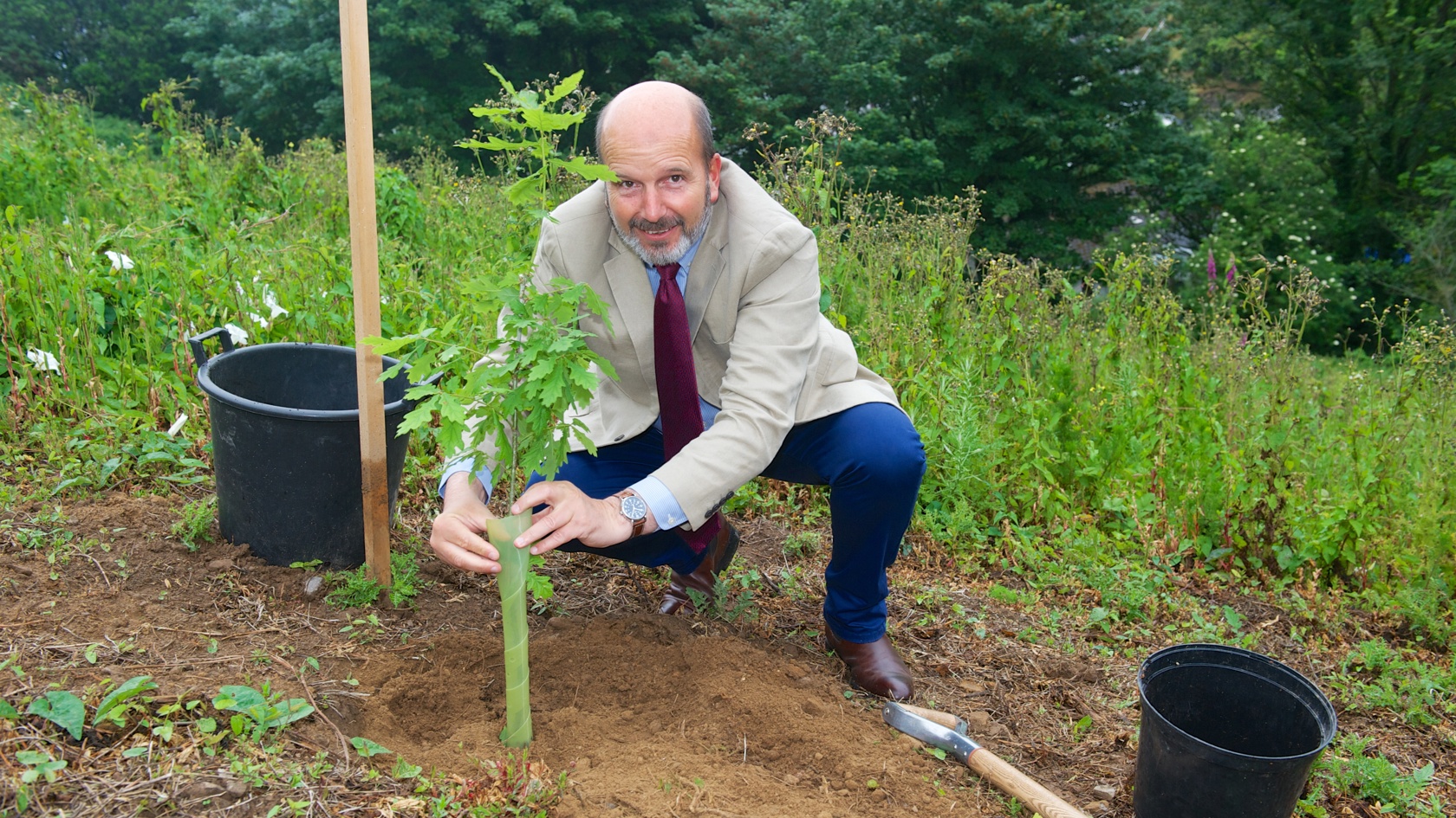 Charles Alluto, CEO of the National Trust for Jersey kneeling down to plant a tree
