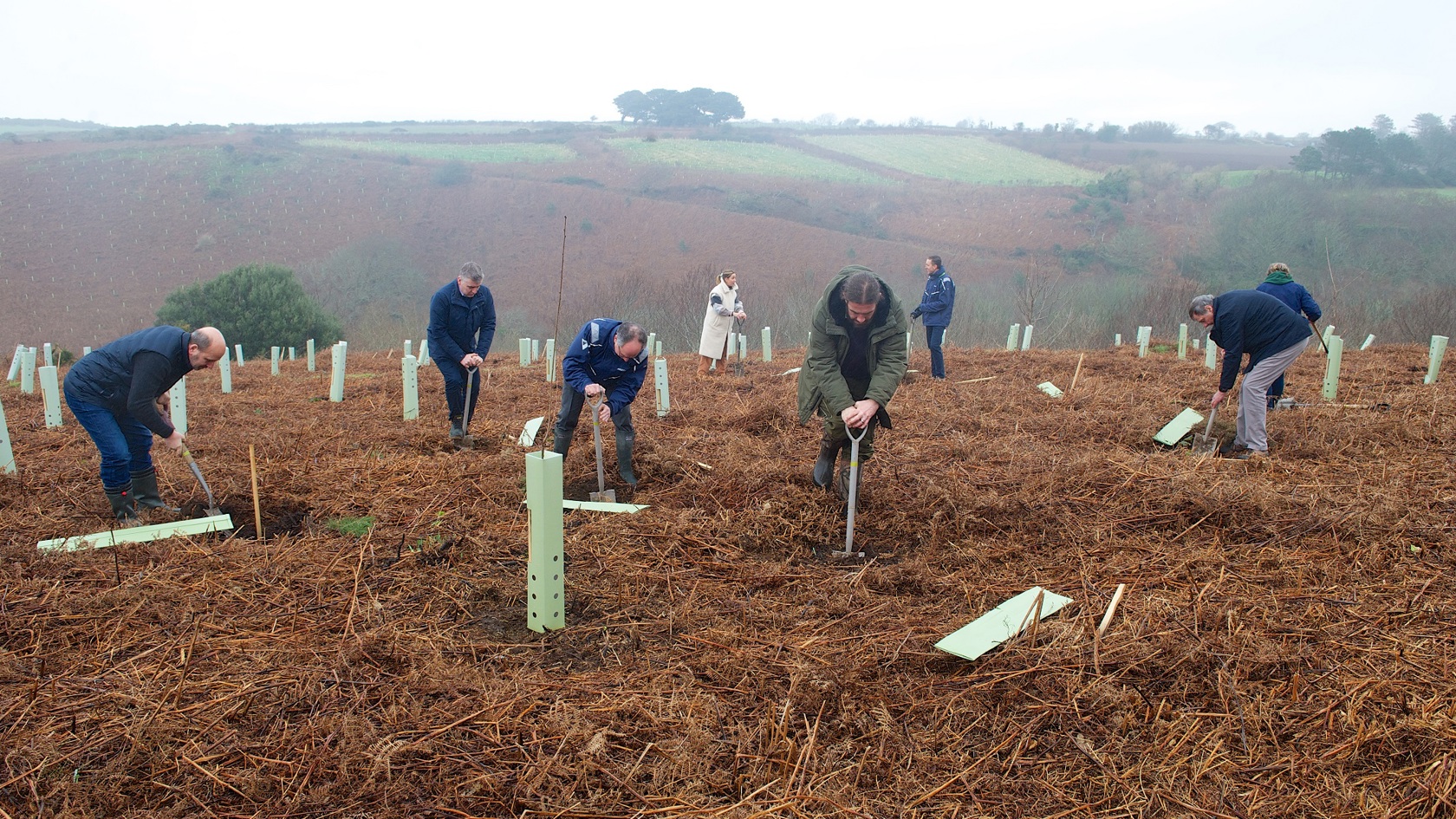 Team planting trees at Mourier Valley