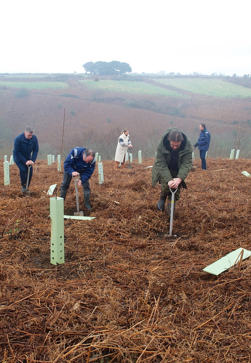 Team planting trees at Mourier Valley