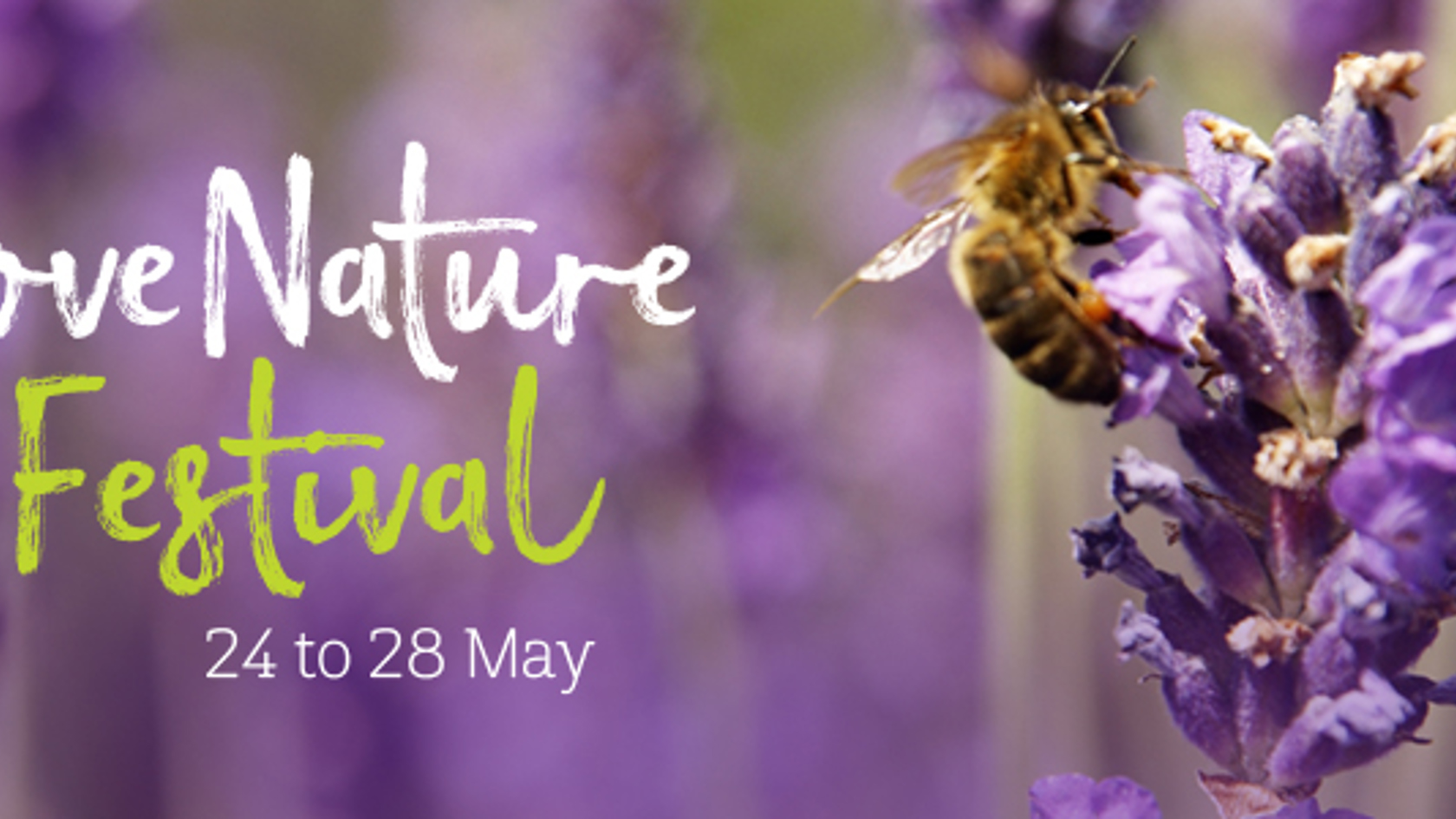 Love Nature Festival advert