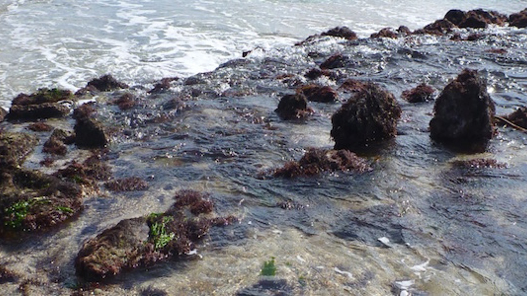 Fish trapping equipment