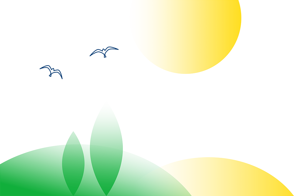 Countryside illustration