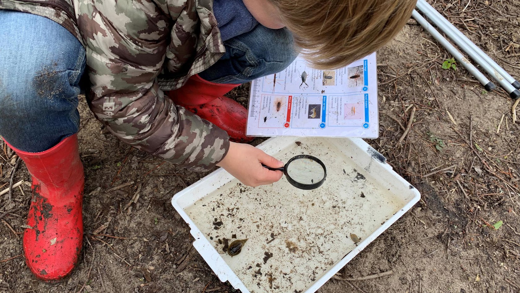 Child examining pond water with magnifying glass