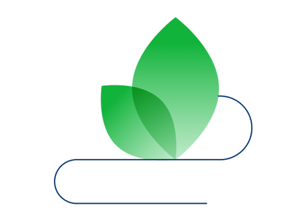 Illustration of a leaf