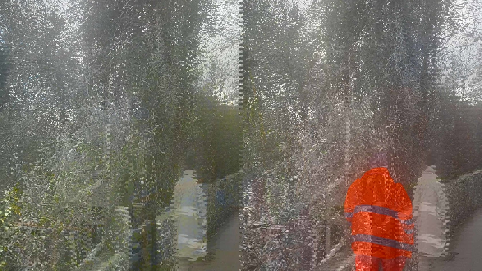 A person in high vis overalls walking along a country lane inspecting overhead power lines. 
