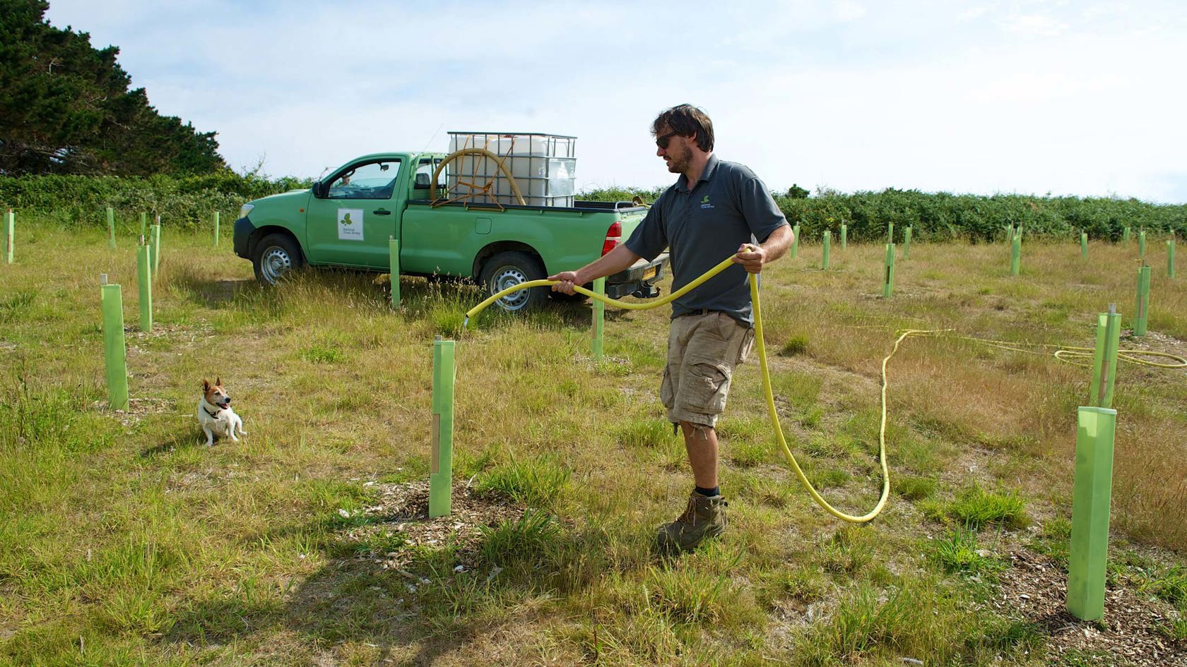National Trust team member water new trees
