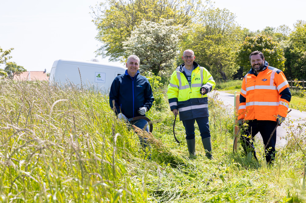 Green Grid Maintenance 2