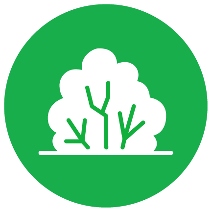 Bullet List Icon