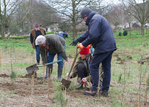 Group of people planting trees