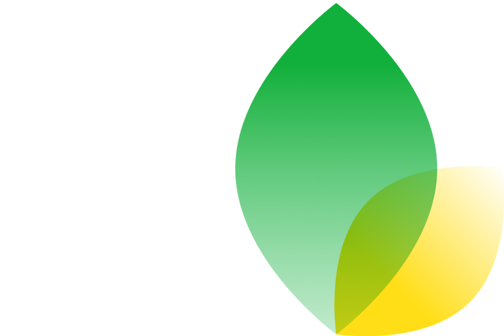 An illustration that shows two leaves, one green, one yellow.