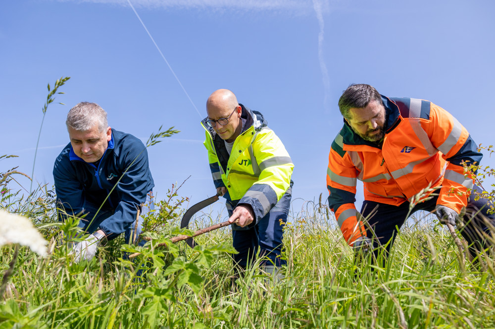 Green Grid maintenance 5