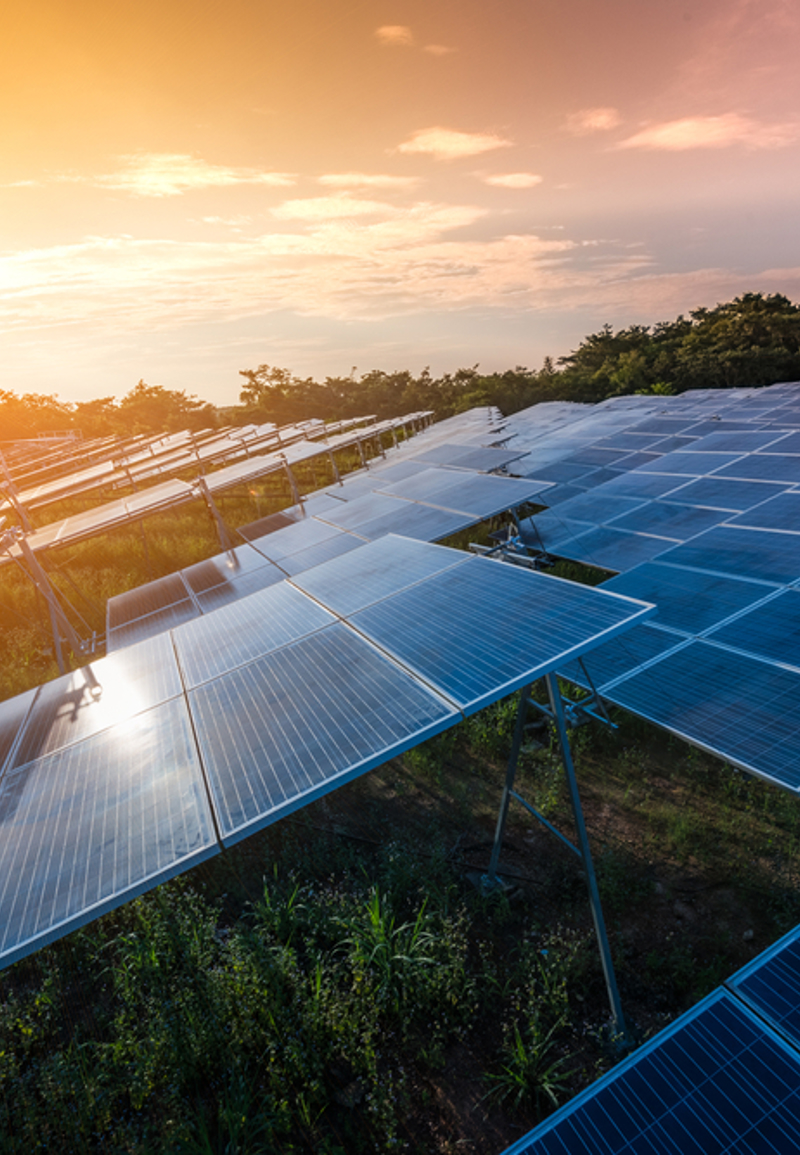 Ground mounted solar array
