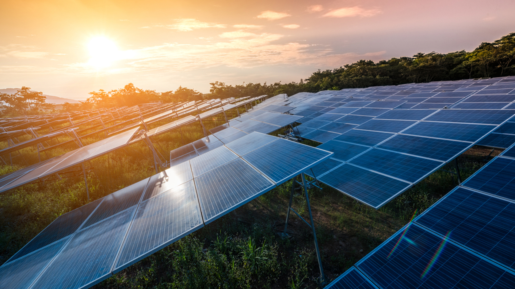 Ground mounted solar array