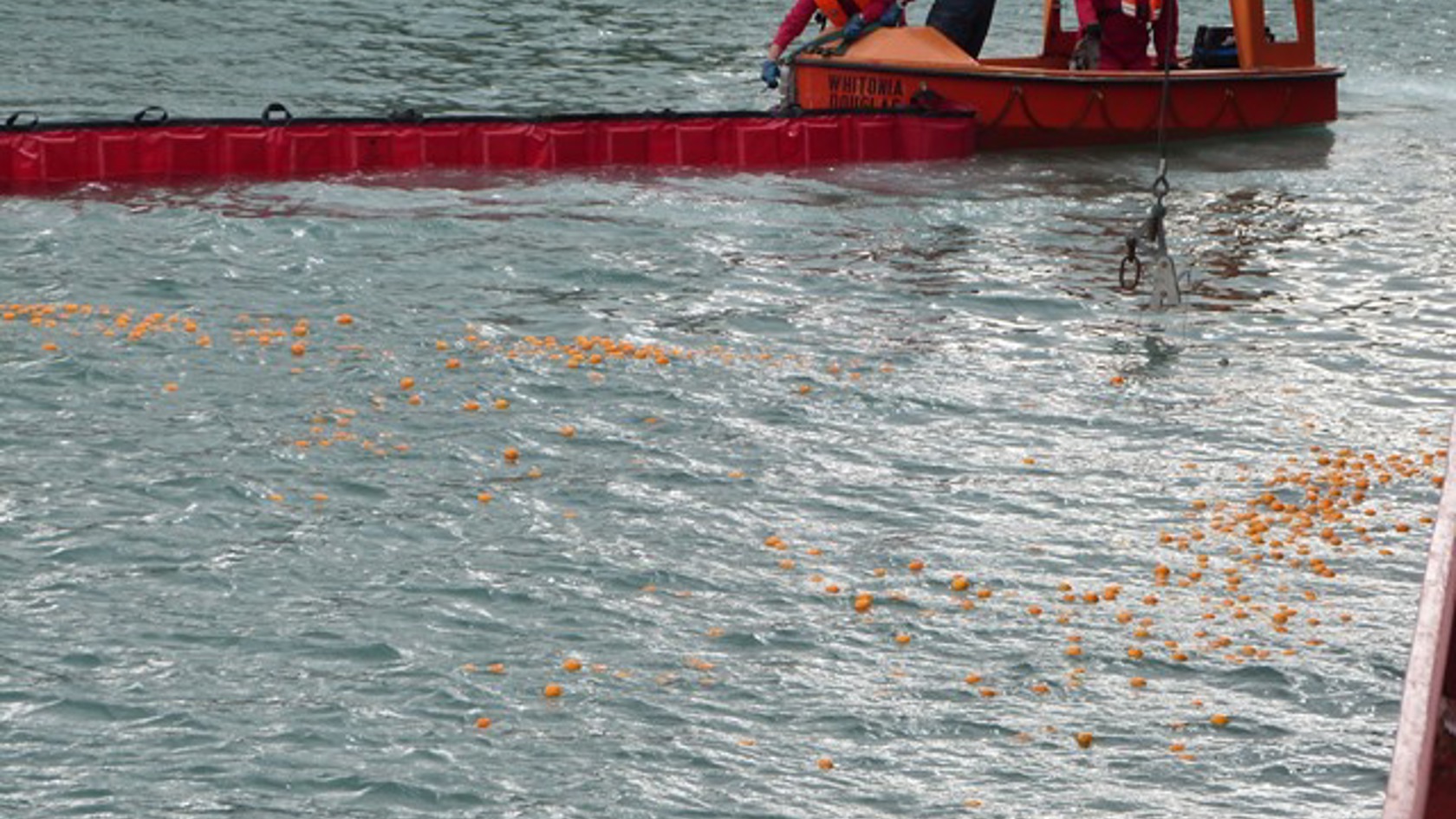 13-boom-and-oranges.jpg