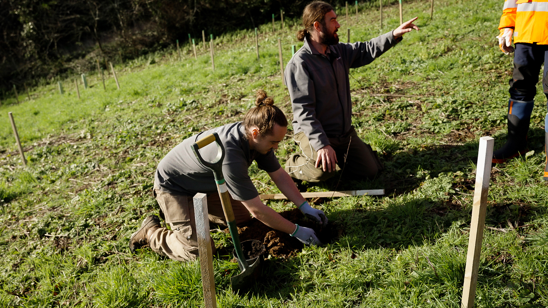 Bouley Bay Planting NTJ