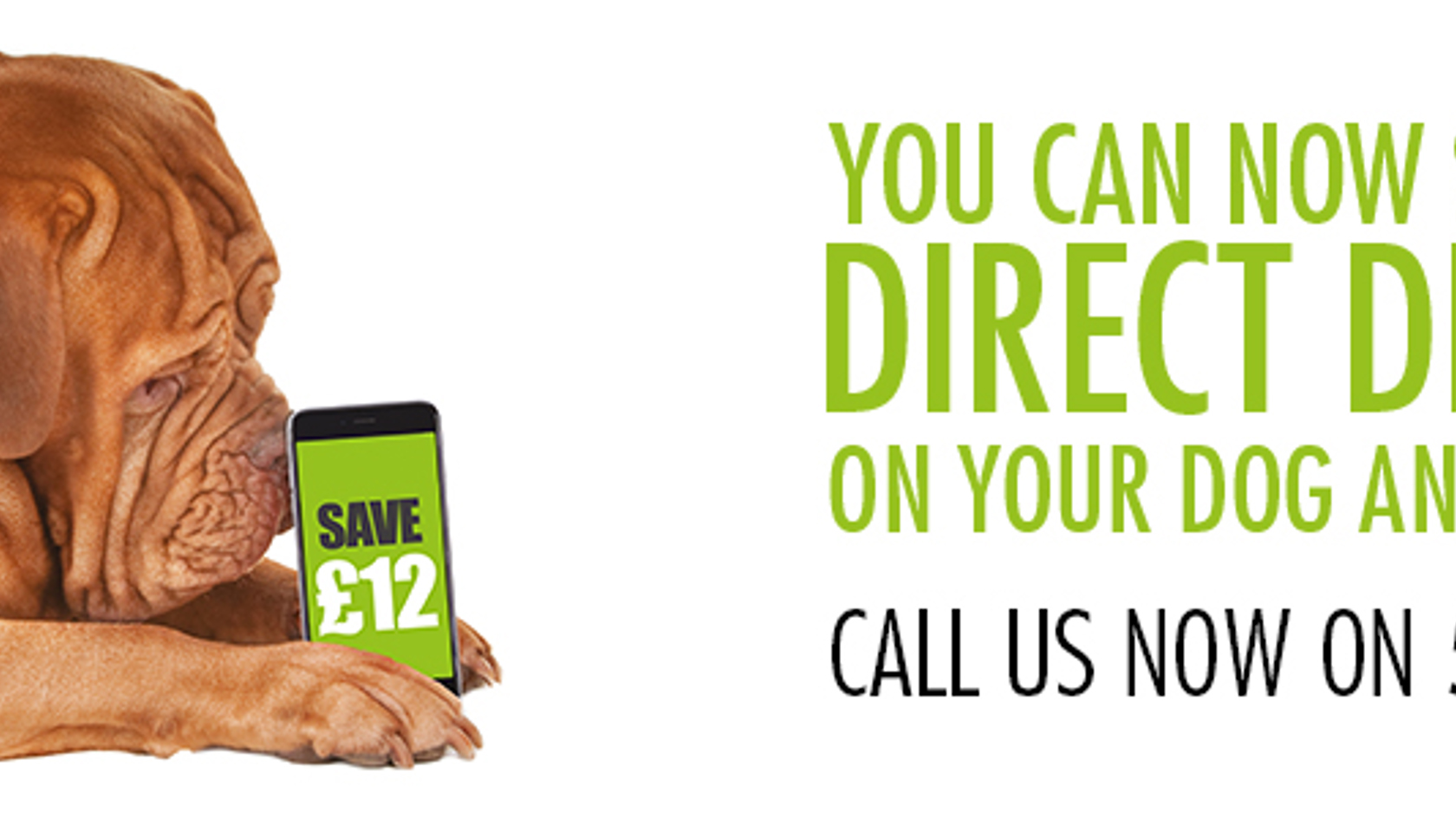 Direct debit advert