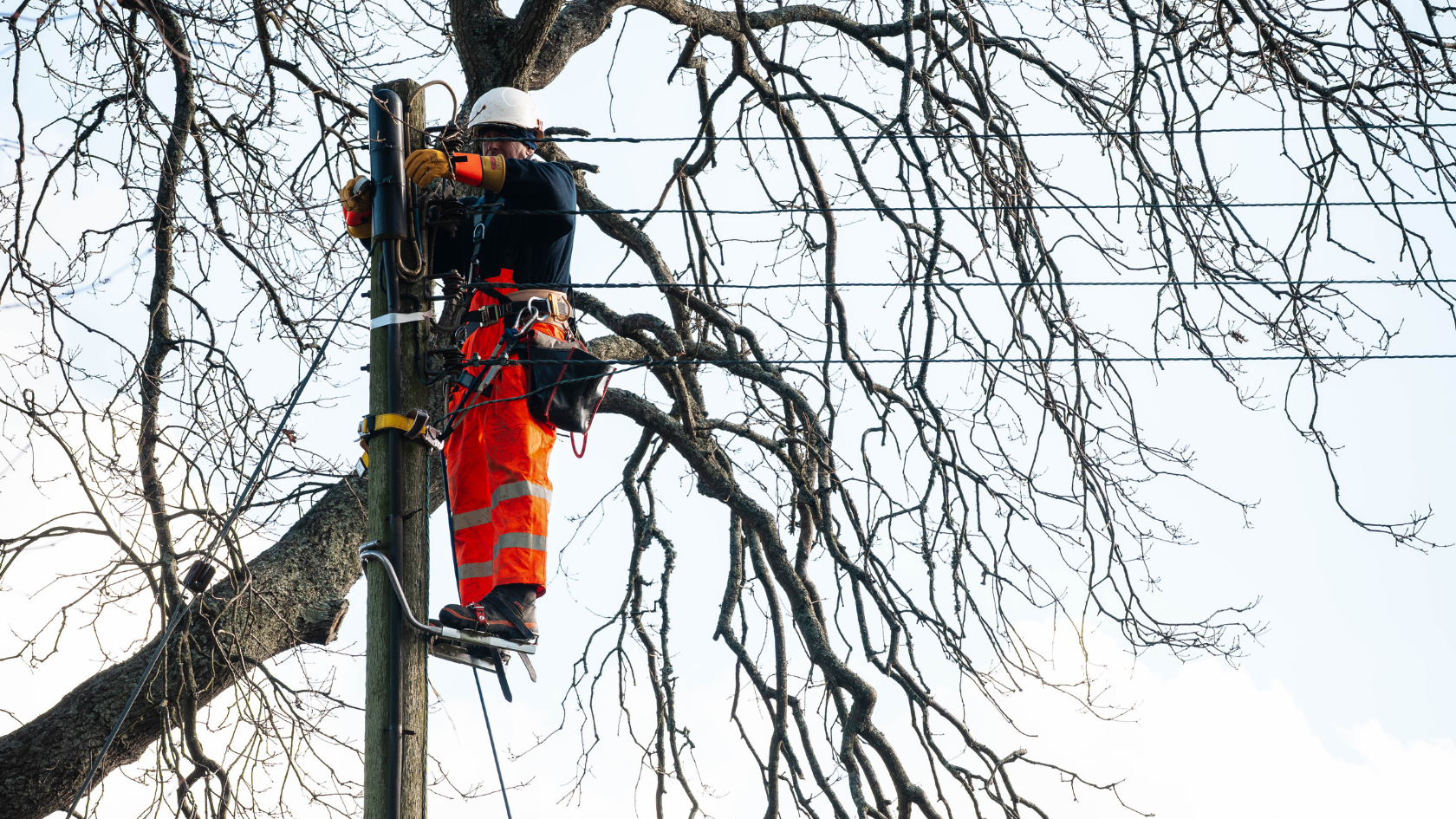 A utility worker wearing bright orange safety gear is climbing a wooden pole to repair lines, with leafless tree branches and a clear blue sky in the background.
