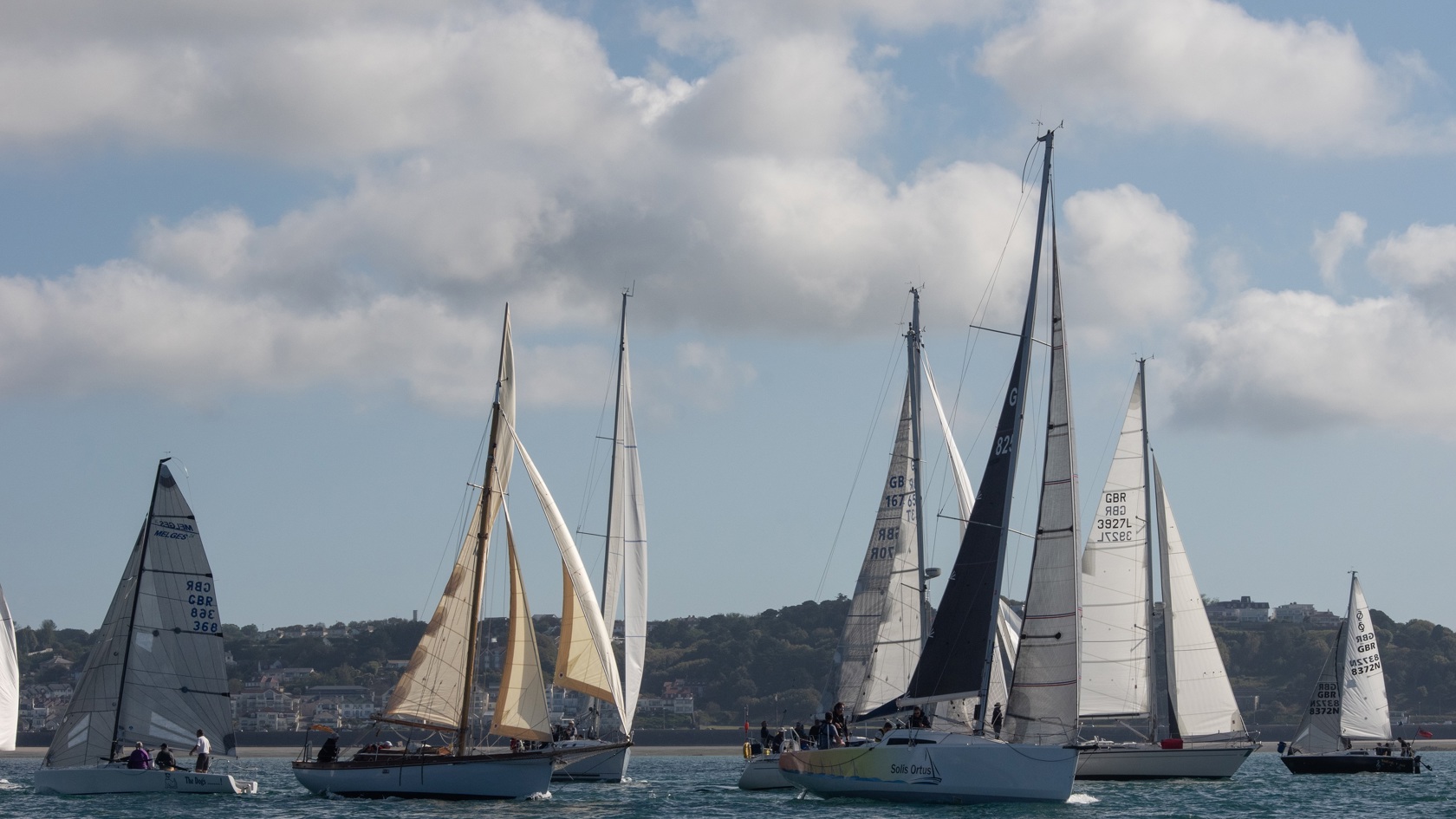 Sailing boats racing