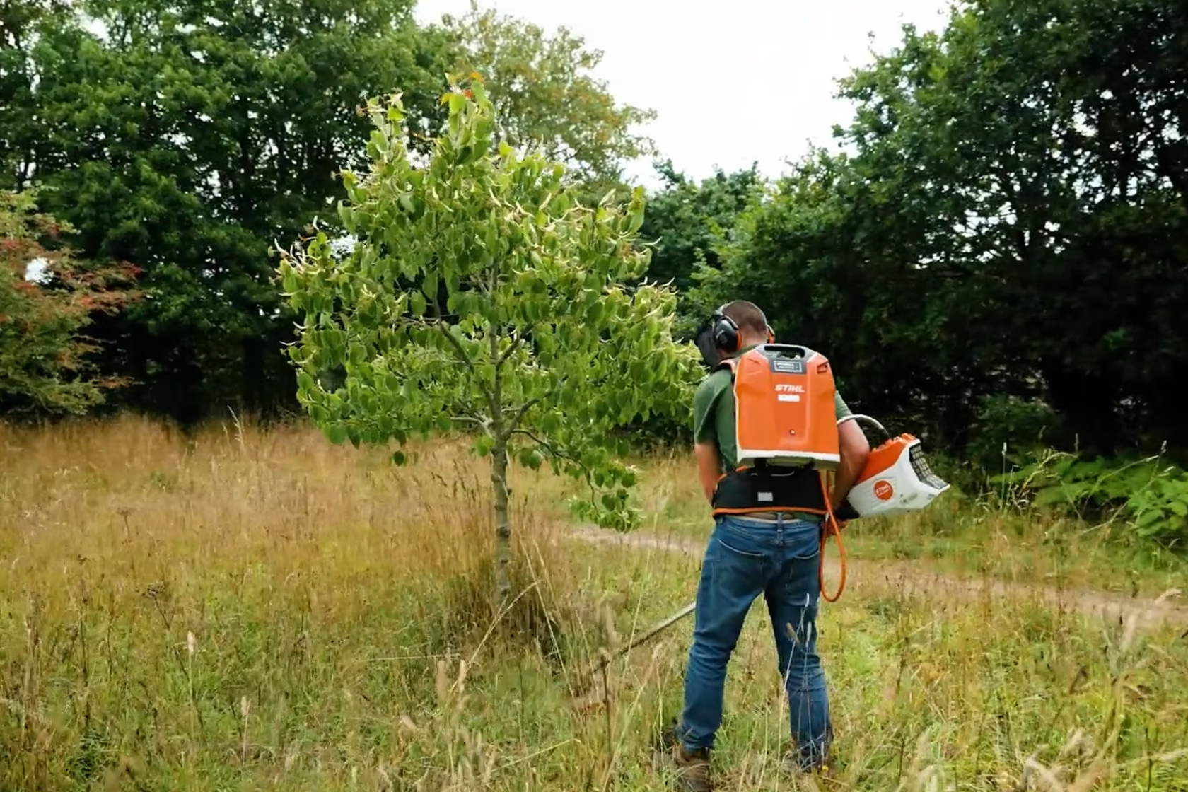 A man in a field strimming grass around a tree using an electric strimmer