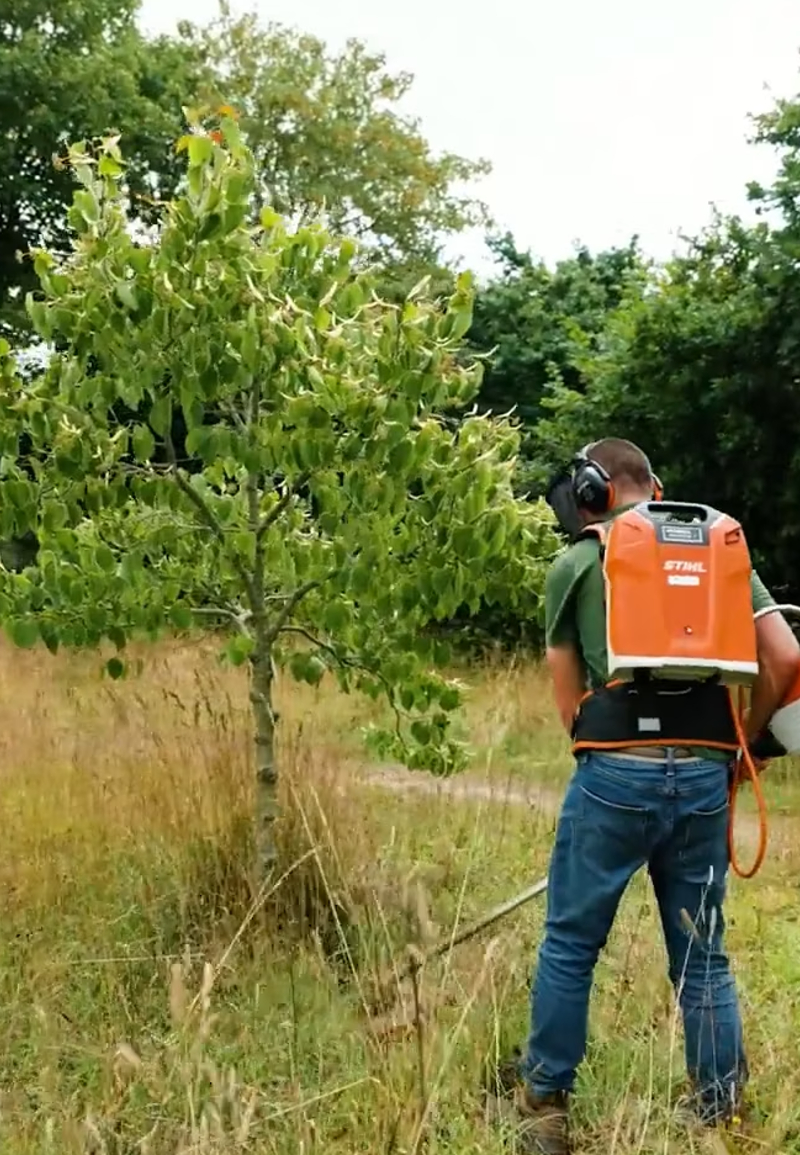 A man in a field strimming grass around a tree using an electric strimmer