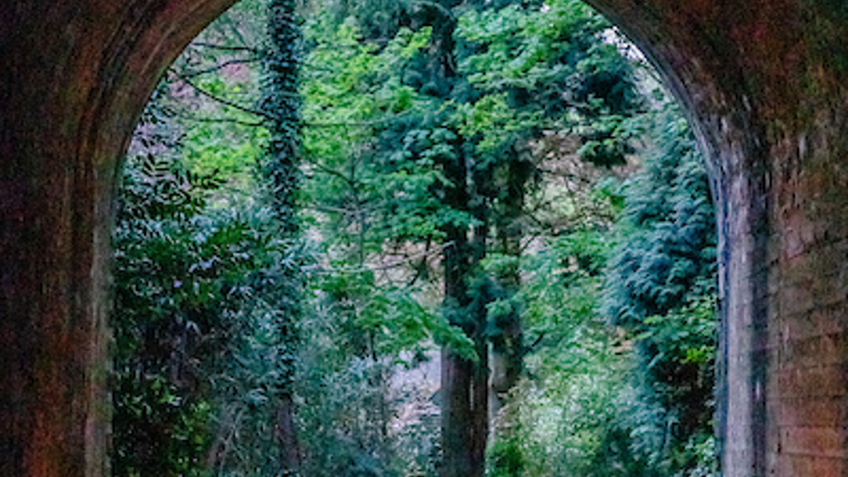 -20190428wttl053.jpg