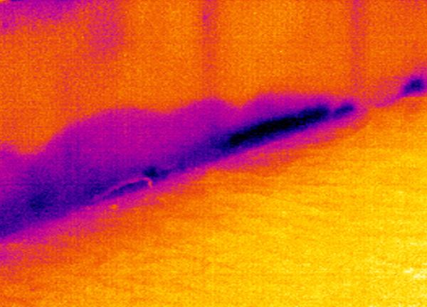 Thermal image showing water damage at the base of an internal wall