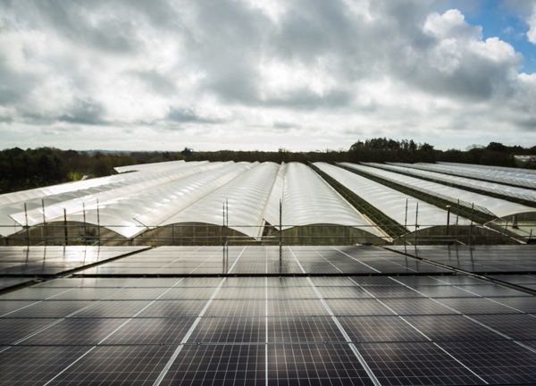 Woodside farm solar array
