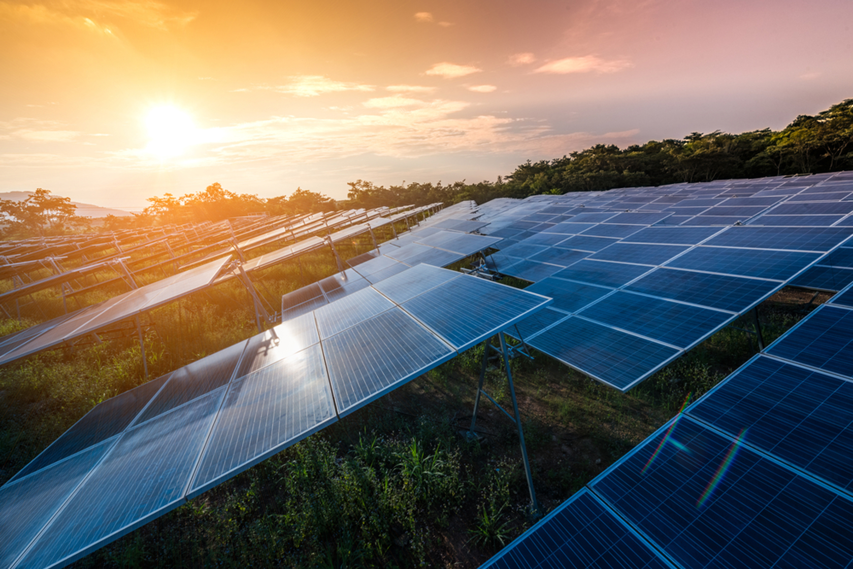 Ground mounted solar array at sun rise