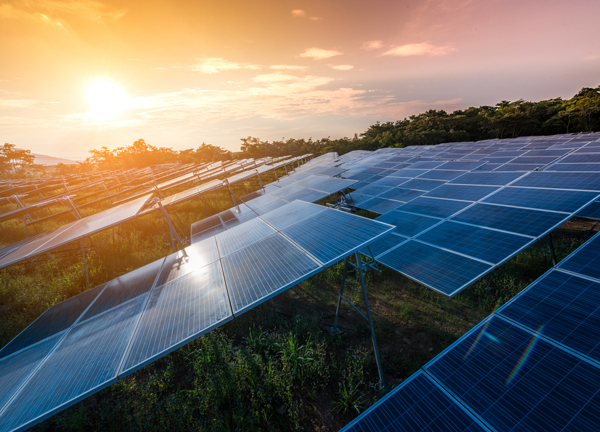 Ground mounted solar array at sun rise