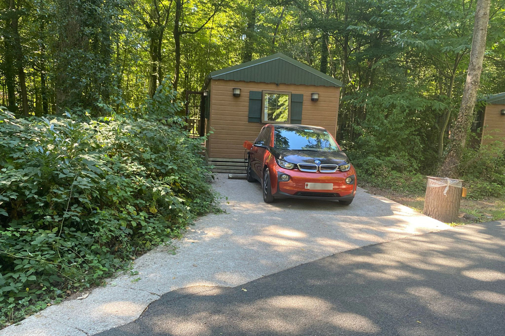 Pat Mcnamara Charging At The Davey Crocket Ranch.