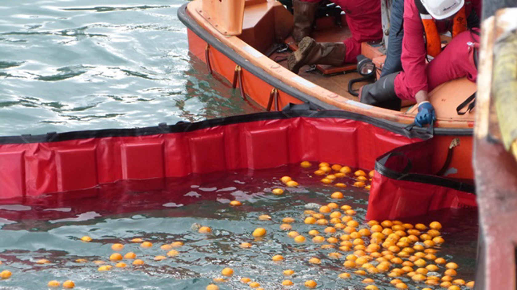 14-boom-oranges-closed.jpg