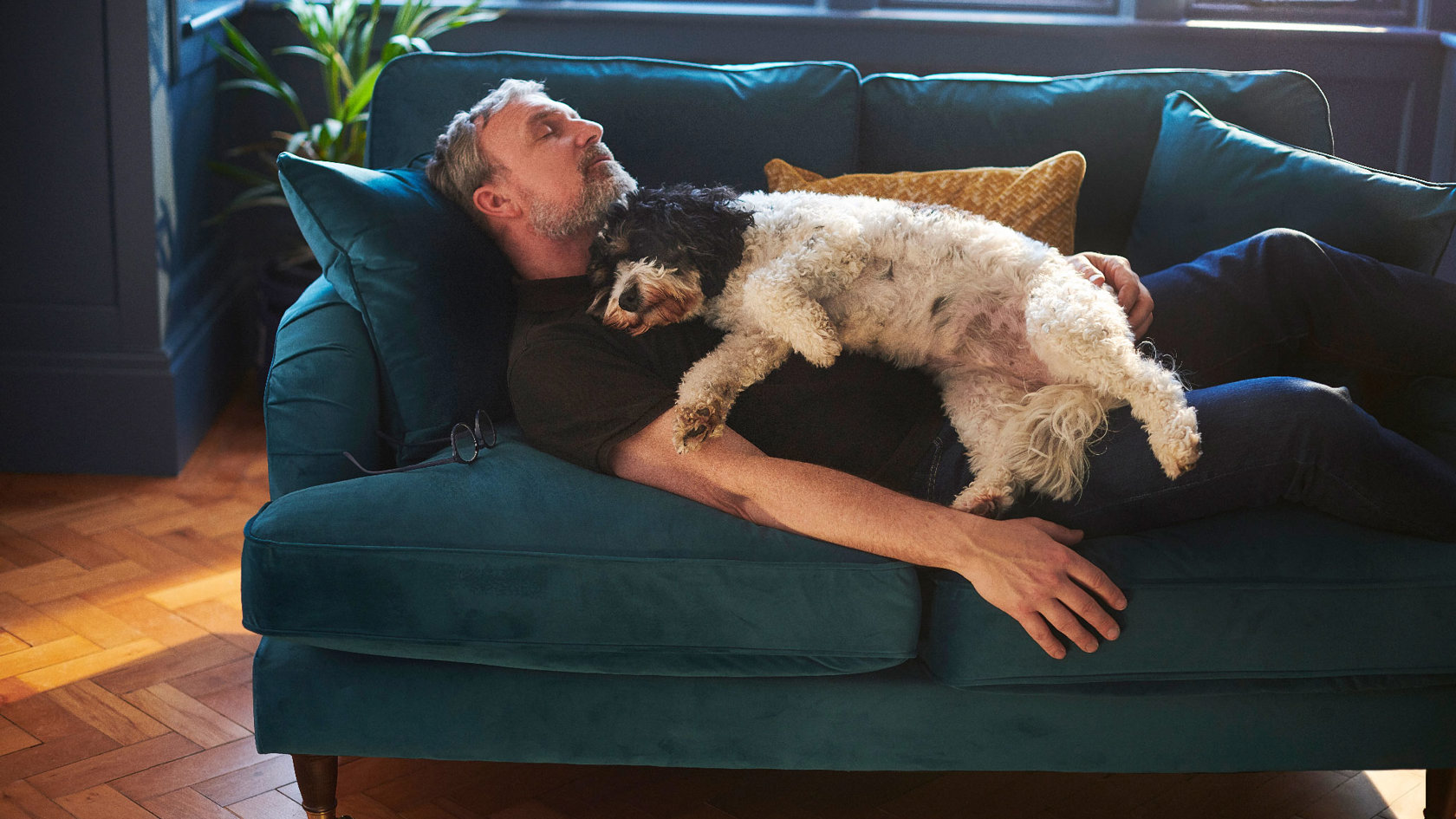 Man asleep on the sofa with his white dog