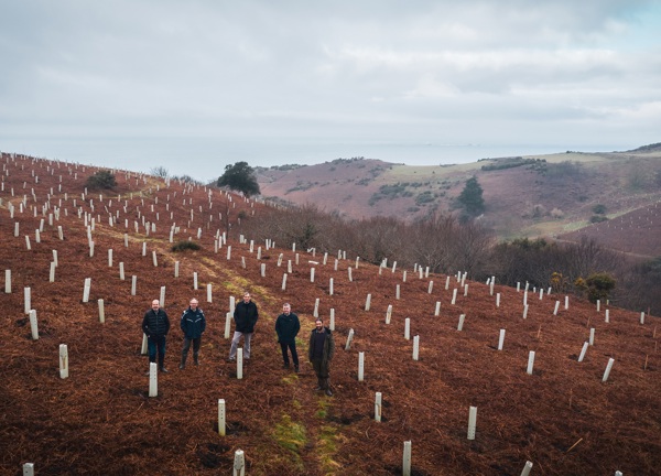 Planted trees at Mourier Valley