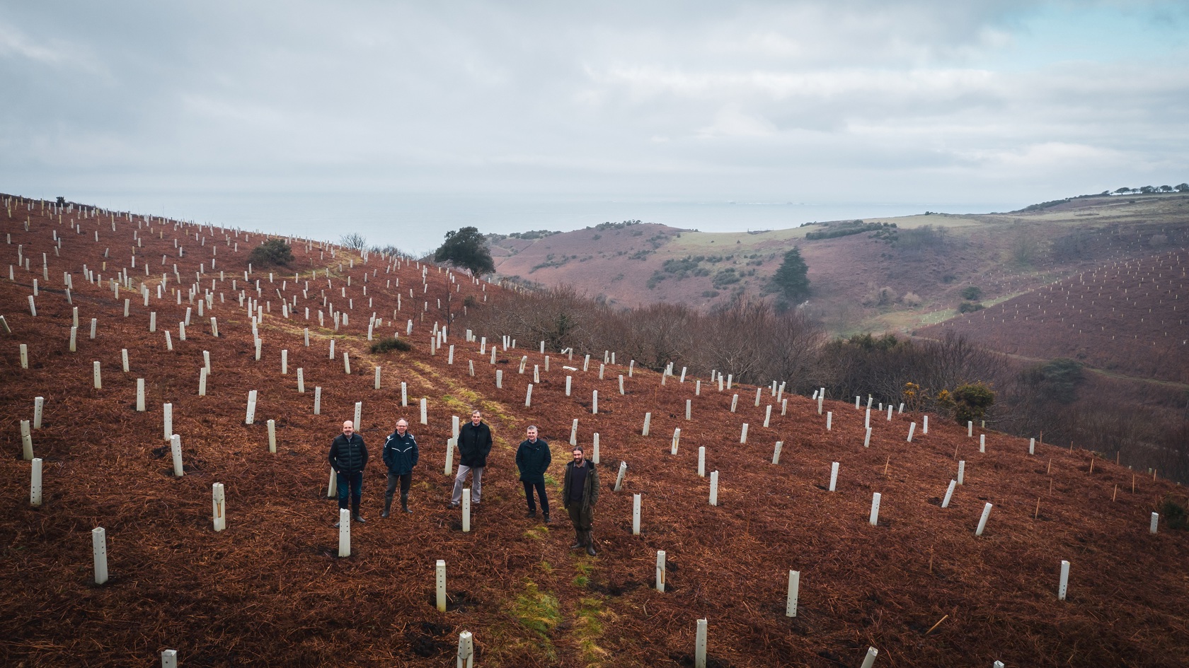 Planted trees at Mourier Valley