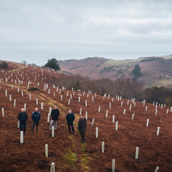 Planted trees at Mourier Valley